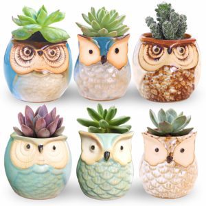 Ceramic Owl Pot Set