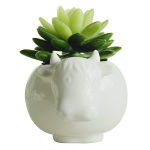 Cow Ceramic Flower Pot Gift