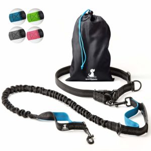 Dog Leash For The Runners