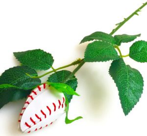 Genuine Baseball Leather Rose Gift