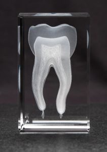 Crystal Tooth - Gifts For Dentists