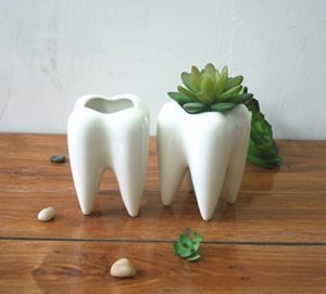 Teeth Pots - Gifts For Dentists
