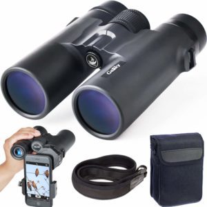 Professional Binoculars - Best Gifts For Environmentalists