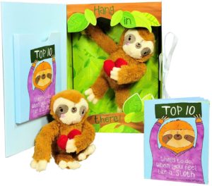 Plush Sloth - Get Well Gifts
