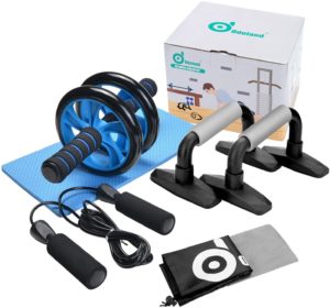 AB Wheel Roller Kit - Quarantine Gifts On Father's Day