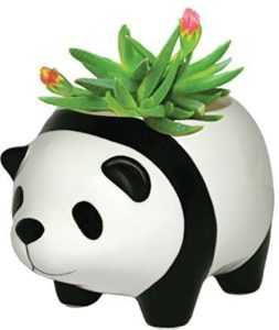 Panda Bear Plant Pot