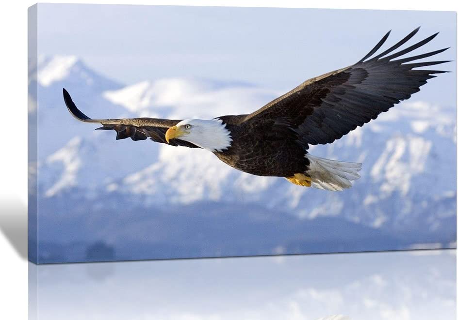 12 Astonishing Gifts For Eagle Lovers In 2023 | Gifthem