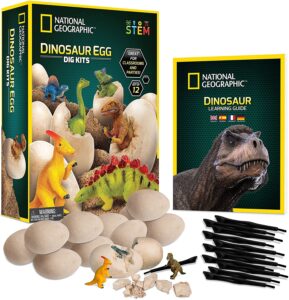 National Geographic Dinosaur Dig Toy Kit Starting With N