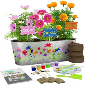 Paint & Plant Flower Growing Kit