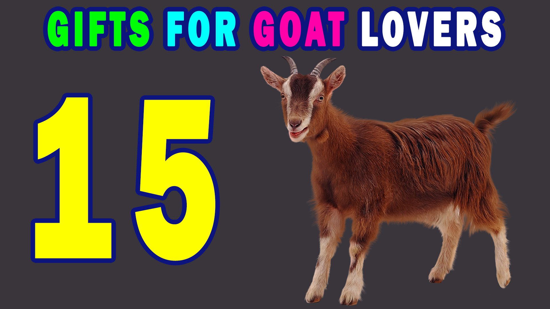 Best Gifts For Goat Lovers