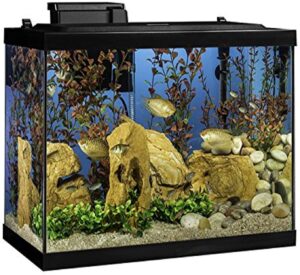 Aquarium Fish Tank Kit Gifts Beginning With A