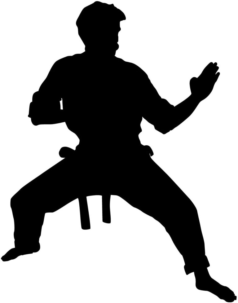 20 Cool Judo Karate Martial Arts Gifts & Merchandise (June) 2023