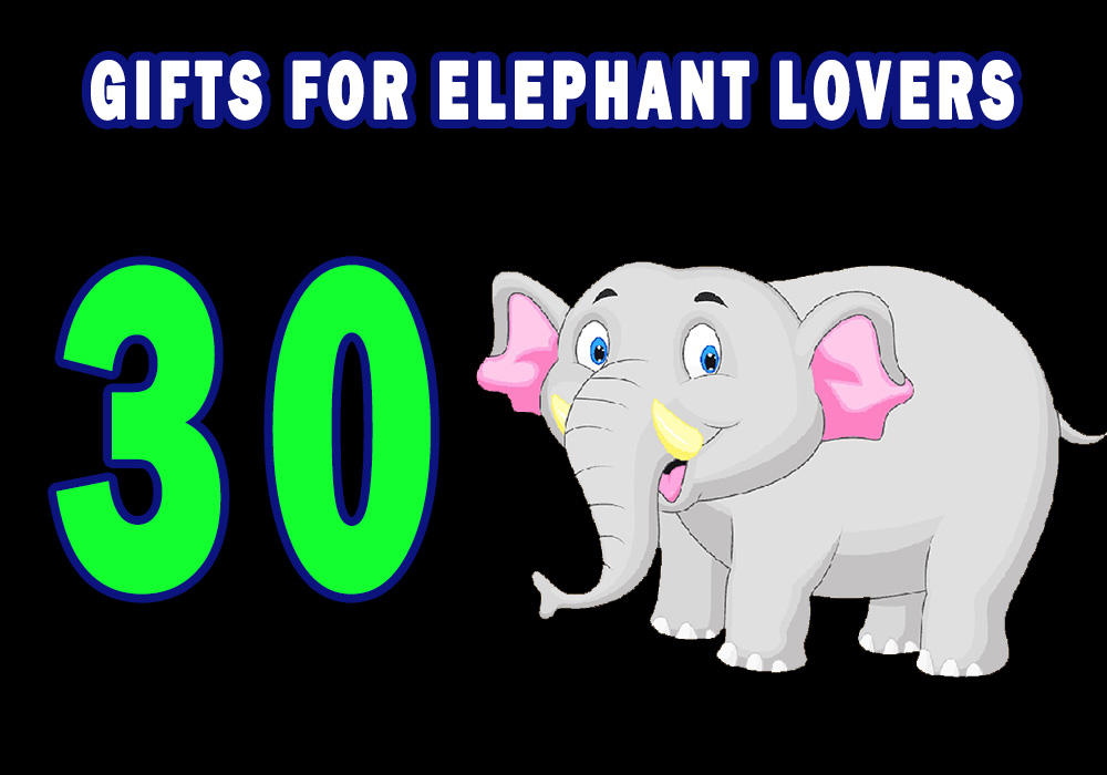 30 Best Elephant Gifts 2021 Top Gift Ideas For Elephant Lovers Gifthem