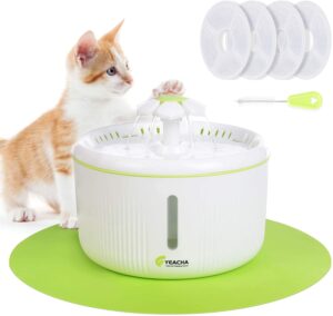 Water Fountain Birthday Gifts For Cats