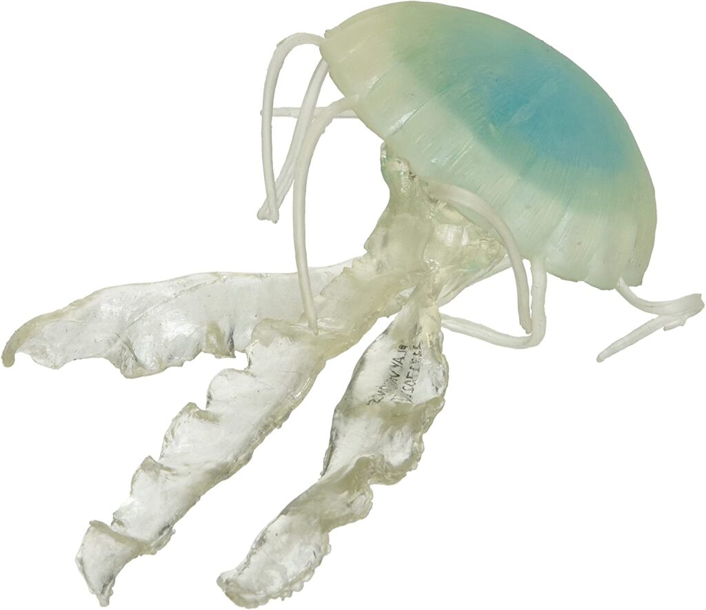 jellyfish diver toy