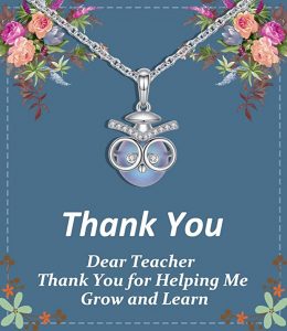 Female Teacher Appreciation Owl Necklace Gifts