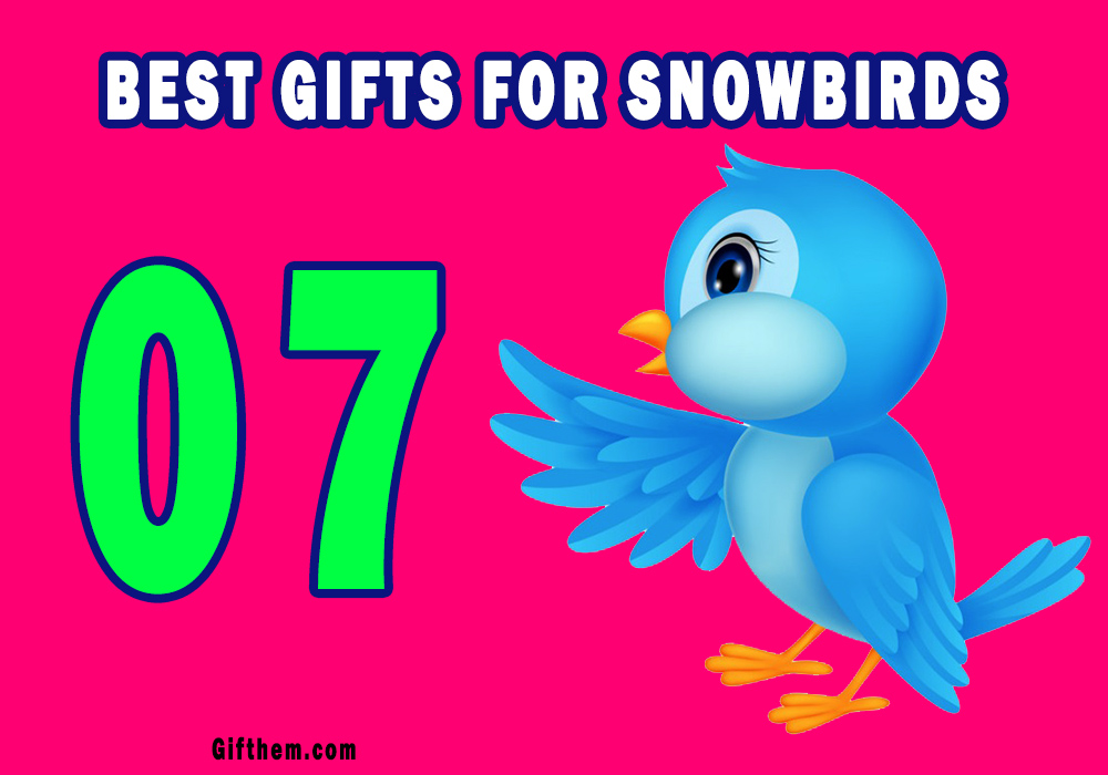 Best Gifts For Snowbirds