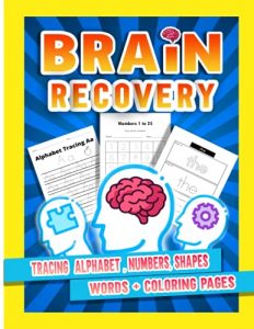 Brain Recovery Book