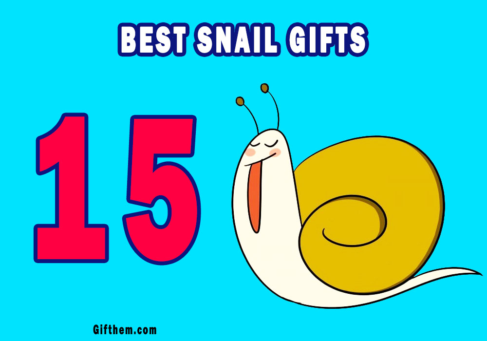 Best Snail Gifts