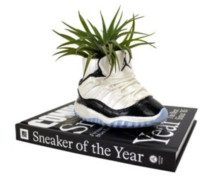 Sneaker Plant Pot Gift For Sneakerheads